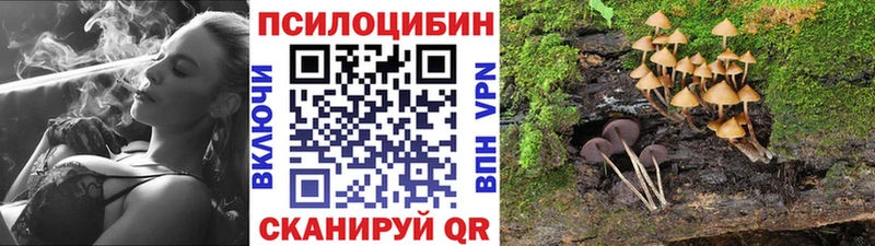 Галлюциногенные грибы Psilocybine cubensis Тамбов